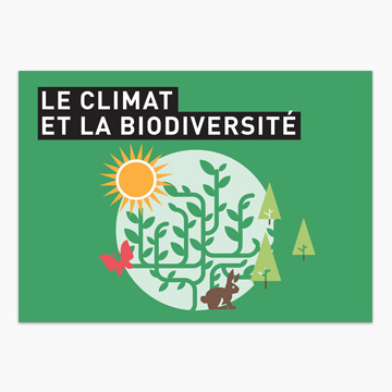 Guide in French for all on forests and global warming